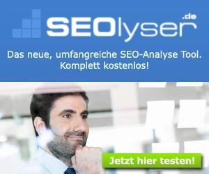 SEOlyser Webseiten Analyse